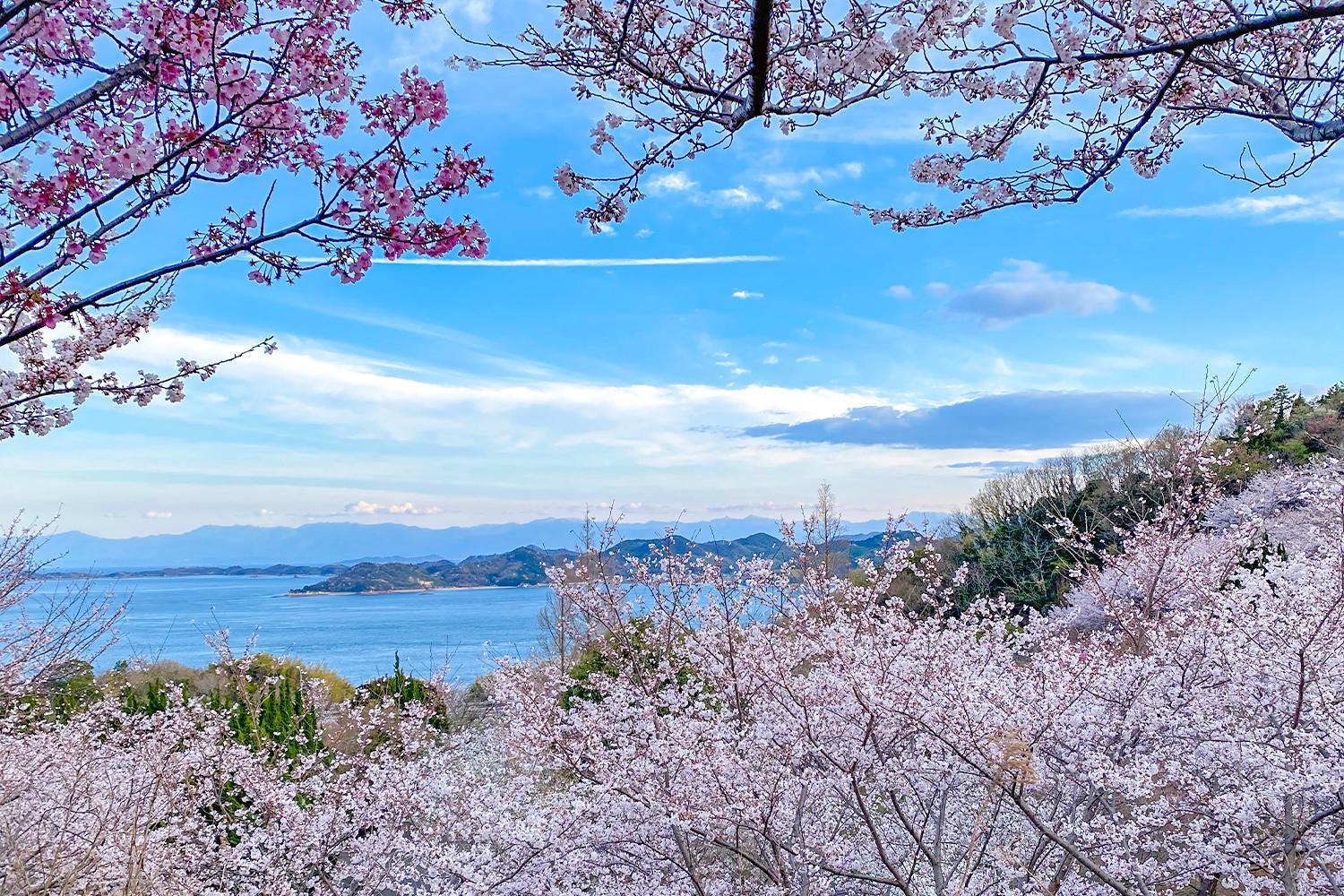Lemon Farm Glamping Simanami Villa Onomichi Exterior photo